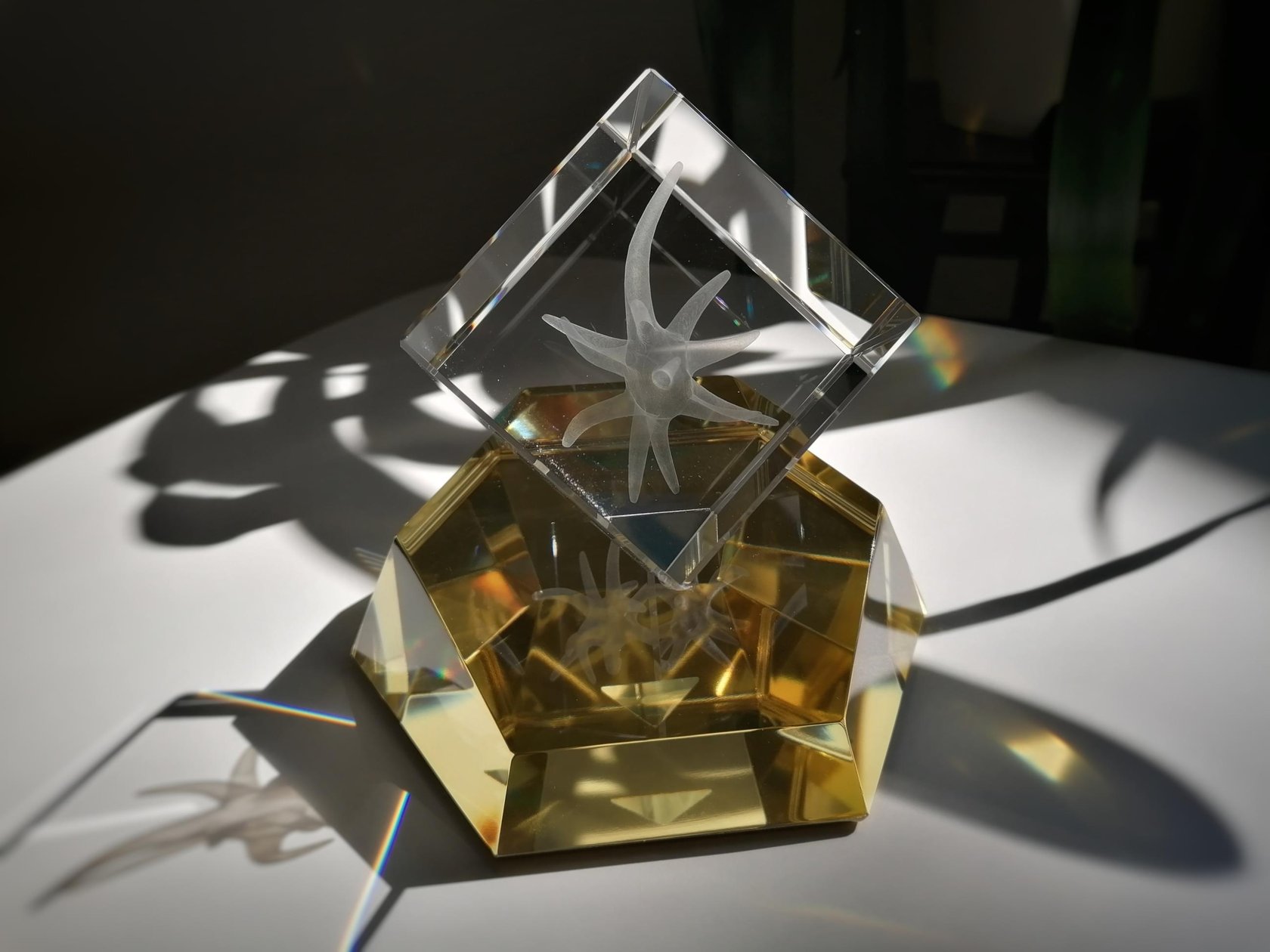 Two world figures of Czech science will receive Extraordinary Neuron Awards this year