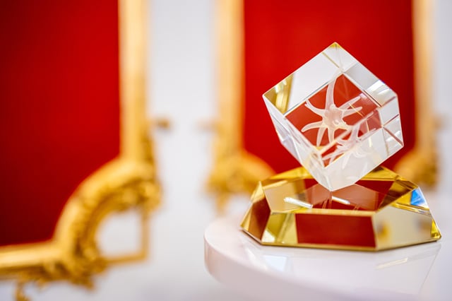The presentation of the Extraordinary Neuron Awards 2020