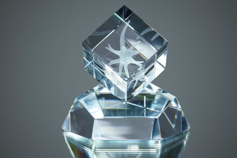 Neuron Awards 2024: Celebrate the Beauty of Science with Us
