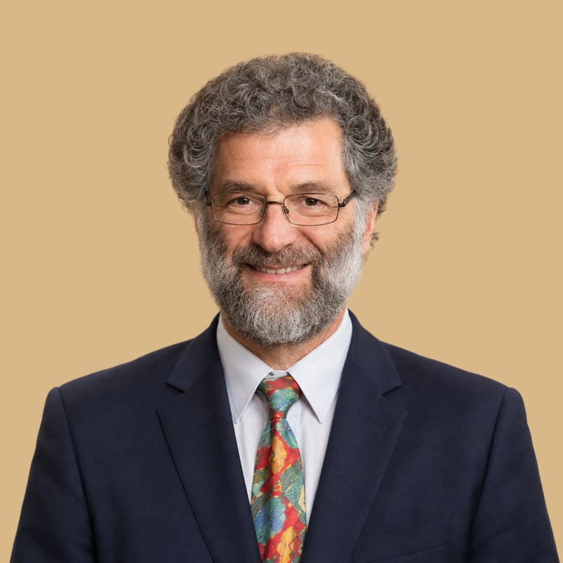 prof. Martin Roček