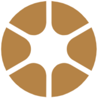 nadaceneuron.cz Icon