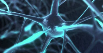 Změny v Nadačním fondu Neuron