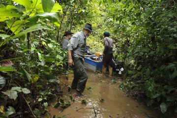 Jan Dungel znovuobjevil pro svět v hlubinách džungle ztracenou Humboldtovu opici uakari