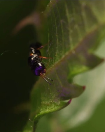 Expedice Neuron 2025 odstartovala