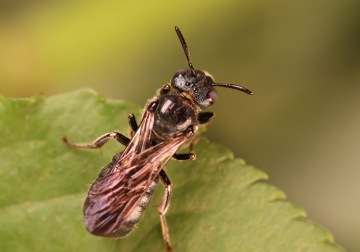 Expedice Neuron 2025 má půlku cesty za sebou