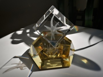 Dvě světové osobnosti české vědy letos obdrží Mimořádné Ceny Neuron