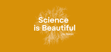 Ceny Neuron 2024: Seznamte se s letošními laureáty