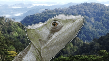 Expedice Neuron vyráží za asexuálními bazilišky